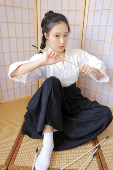 虎胆神鹰